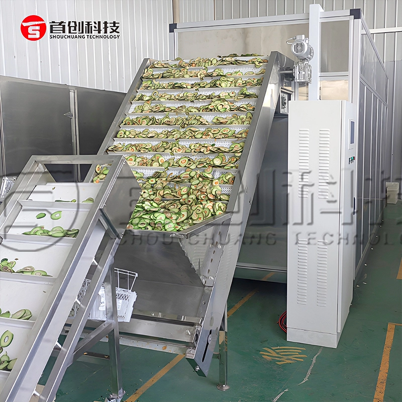 Avocado Fruit Mesh Belt Dryer 30 Tons Hot Air Drying Equipment 1