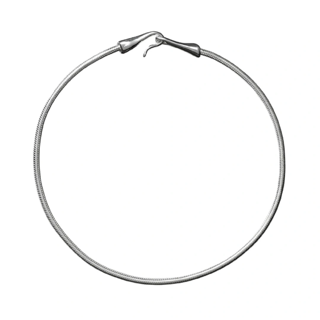 Temperament Couple Necklace Sexless Heavy Duty Fish Hook Snake Bone Clasp Necklace For Woman Man 1