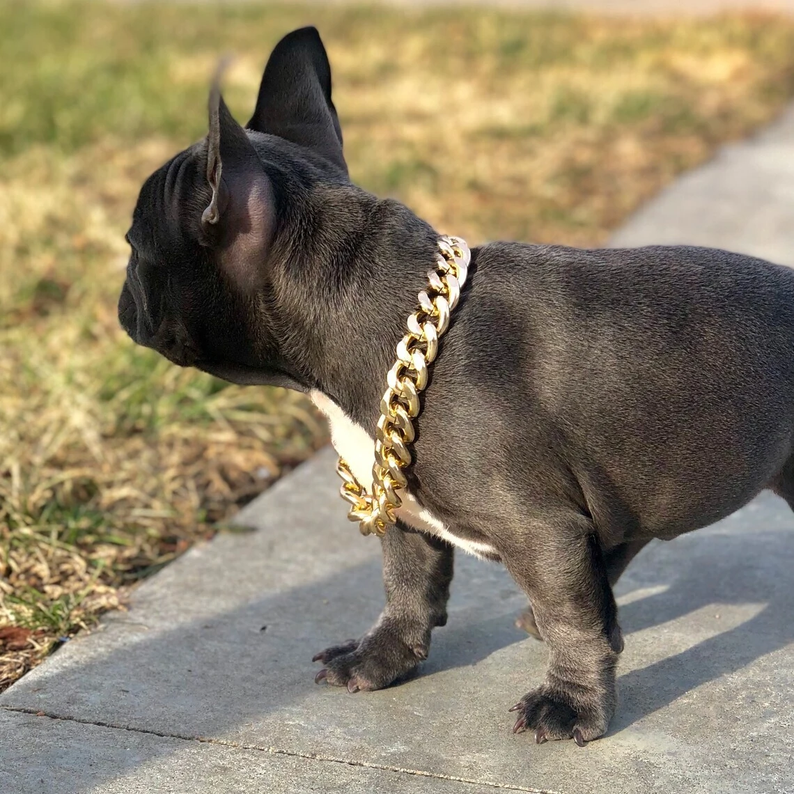 Provence Jewelry Hip Hop S925 Sterling Silver And Yellow Gold Plated Cuban Link Dog Chain Collar 1