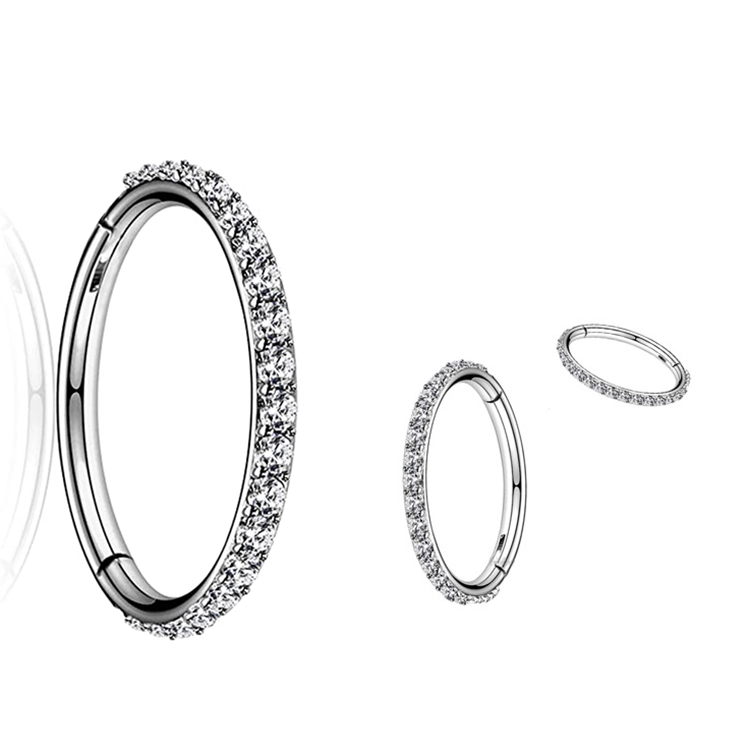 Eternal Metal 18g 16g Astm F136 Titanium Cz Outer Side Hinged Segment Hoop Cartilage Earrings Body Jewelry 1