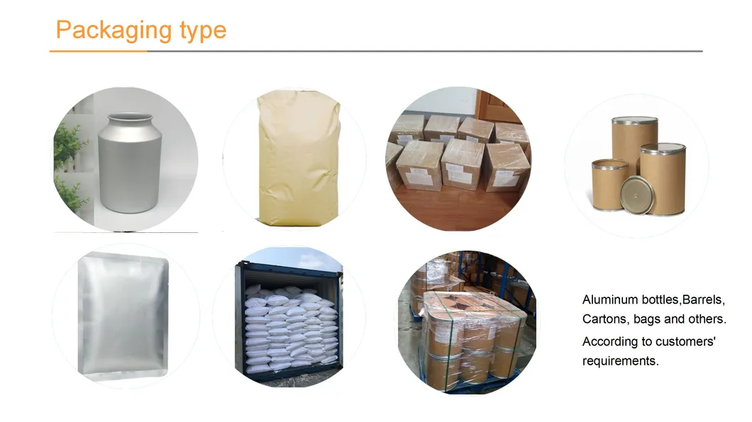 Sodium Hydrate Caustic Soda Sodium Hydroxide CAS 1310-73-2