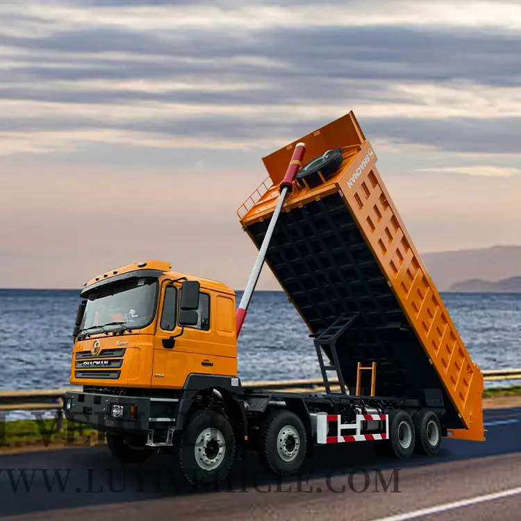 8x4 12 عجلات البناء موقع تفريغ الشاحنة | لوي 1