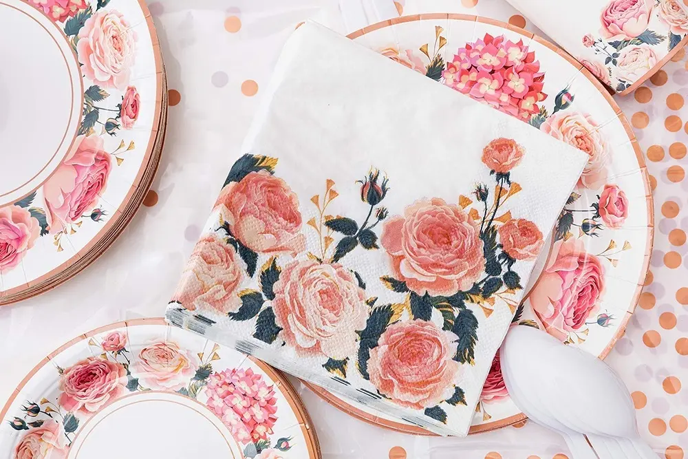 Disposable Tableware Supplier XS - - Xiangsheng 3