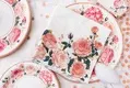 Disposable Tableware Supplier XS - - Xiangsheng 3