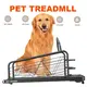 Ciapo Best Value Treadmill 1410*765*155mm Best Value Treadmill Supplier 2
