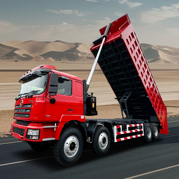 8x4 10 ruedas Sitio de construcción Línea de transporte 3