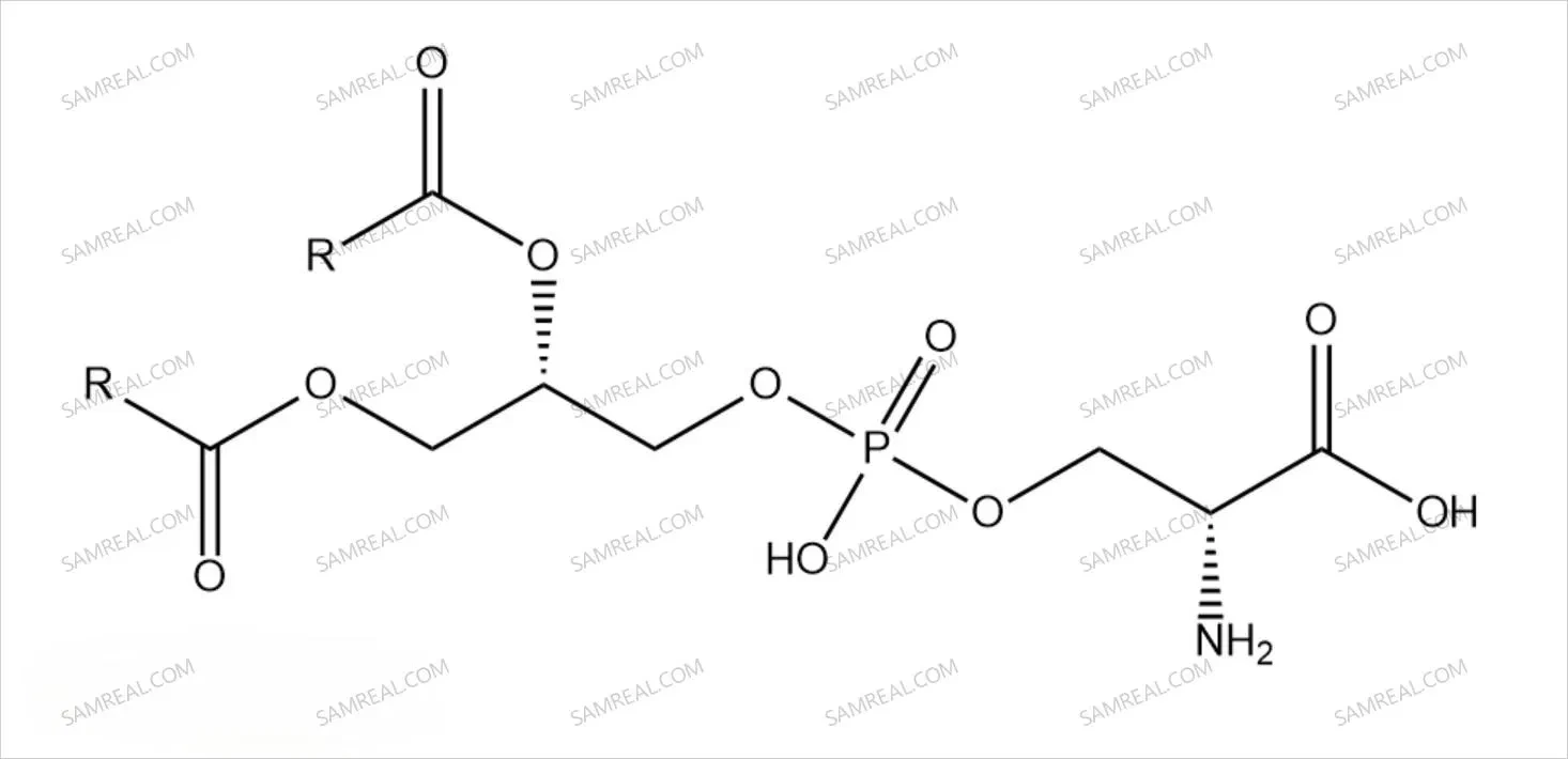 Phosphatidylserine CAS No 51446-62-9 1