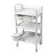 Professional Adjustable Hospital Beds for Sale Adjustable Hospital Beds for Sale Company 4