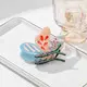 Acetate Claw Clip Colorful - - Dowell 4