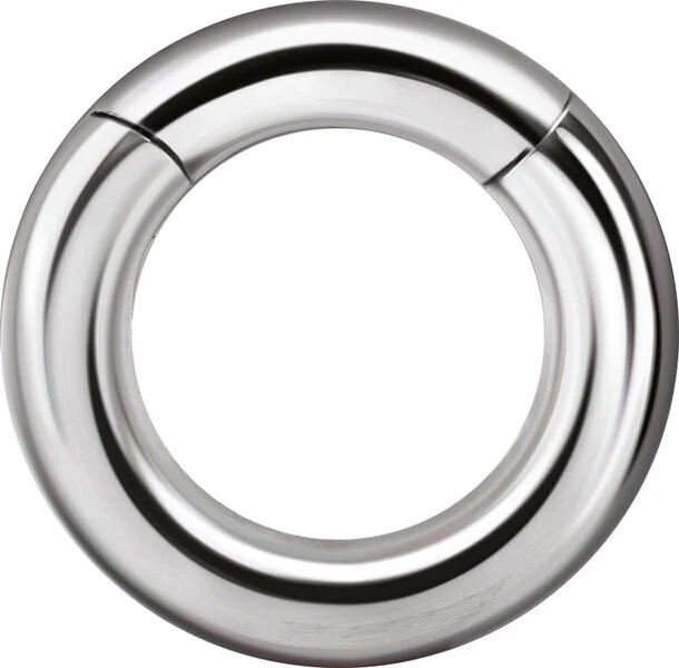 Thick Clickers Astm F136 Titanium Plan Hinged Segment Plug Rings 1