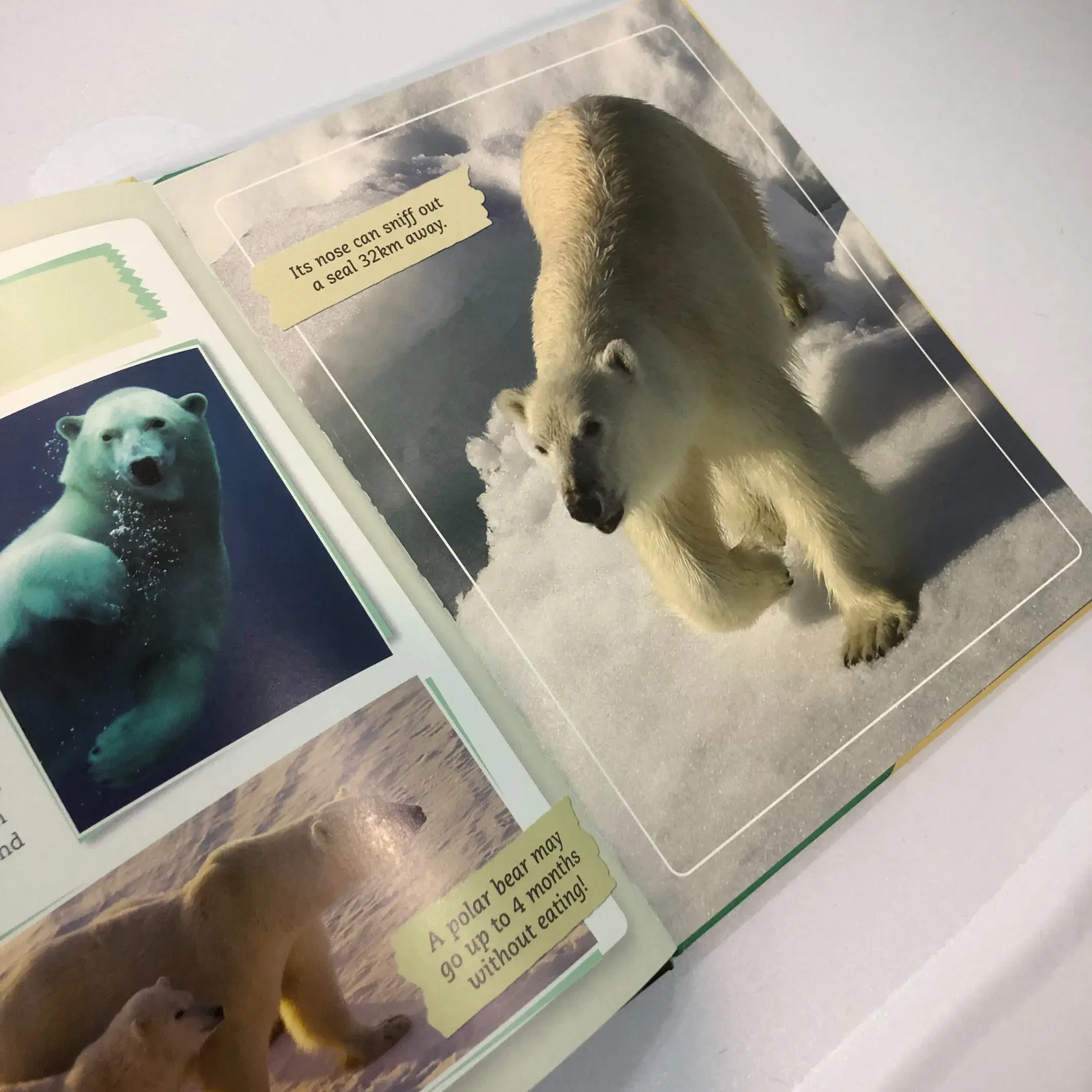 Customized A5 Hardback Book Printing Price List 3