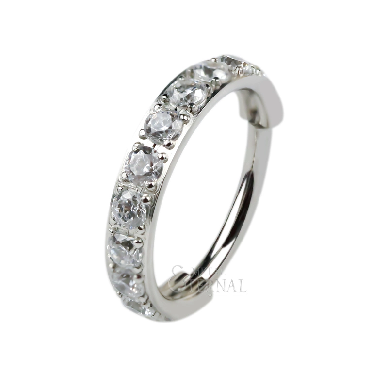 Eternal Astm F136 Medical Grade Titanium Hinged Segment Piercing 1