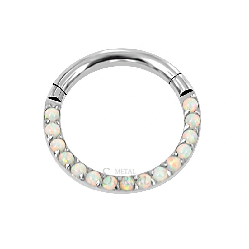 Eternal Metal Astm F136 Titanium Cnc Set Synthetic Opal Paved Front Hinged Segment Ring Body Jewelry 1