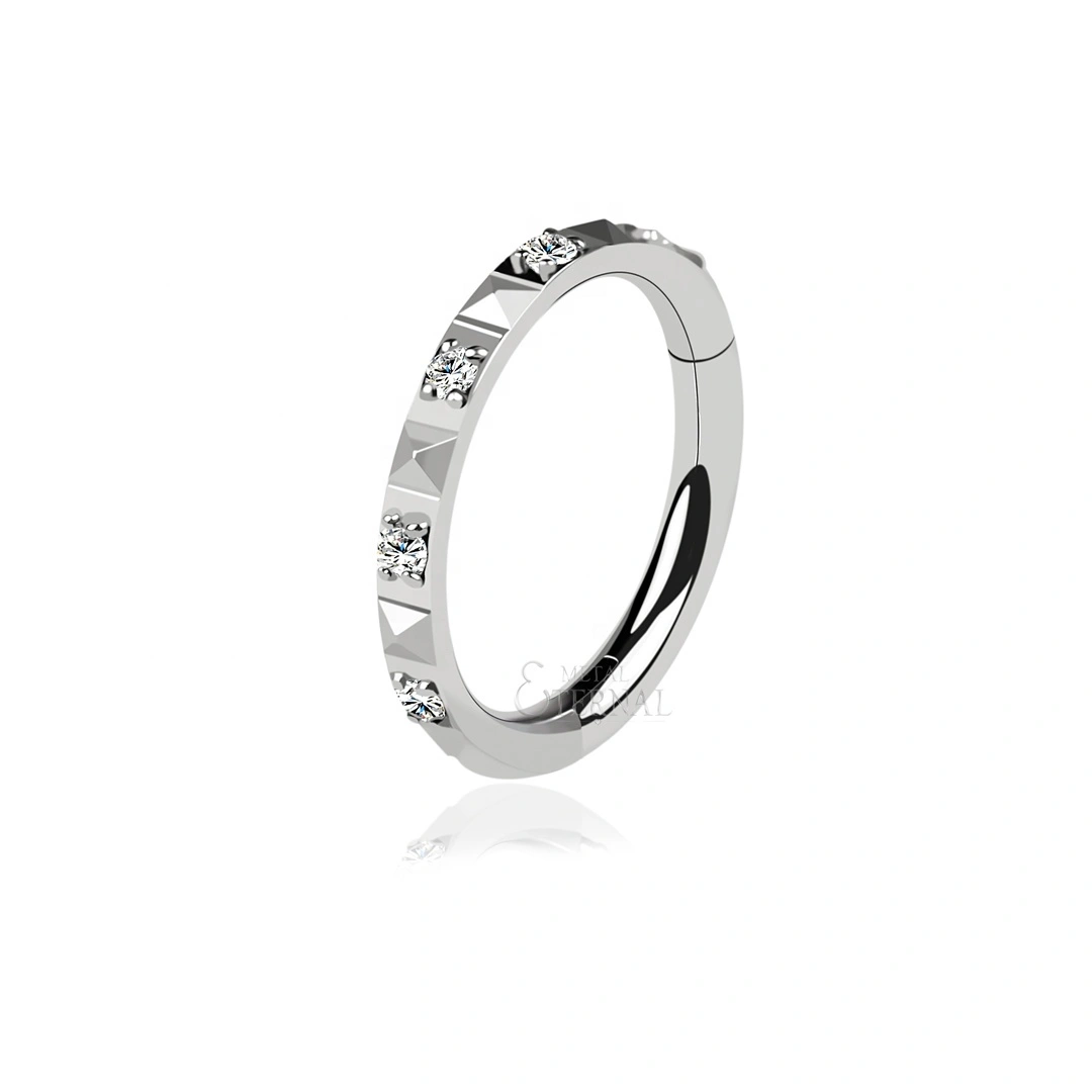 Eternal Metal High Quality Precision Cnc Setting Cz Astm F136 Titanium Segment Hoop Rings 1