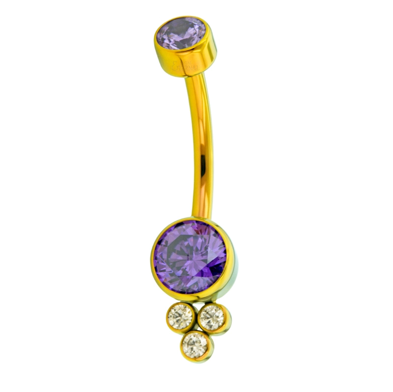Eternal Metal G23 Titanium Internally Threaded Top Round Bezel Set Cz Cluster 14g Navel Belly Ring Body Jewelry 1