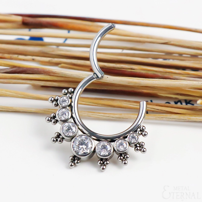 Eternal 16g Astm F136 Titanium Luxury Hinged Segment Clicker Piercing Jewelry 1