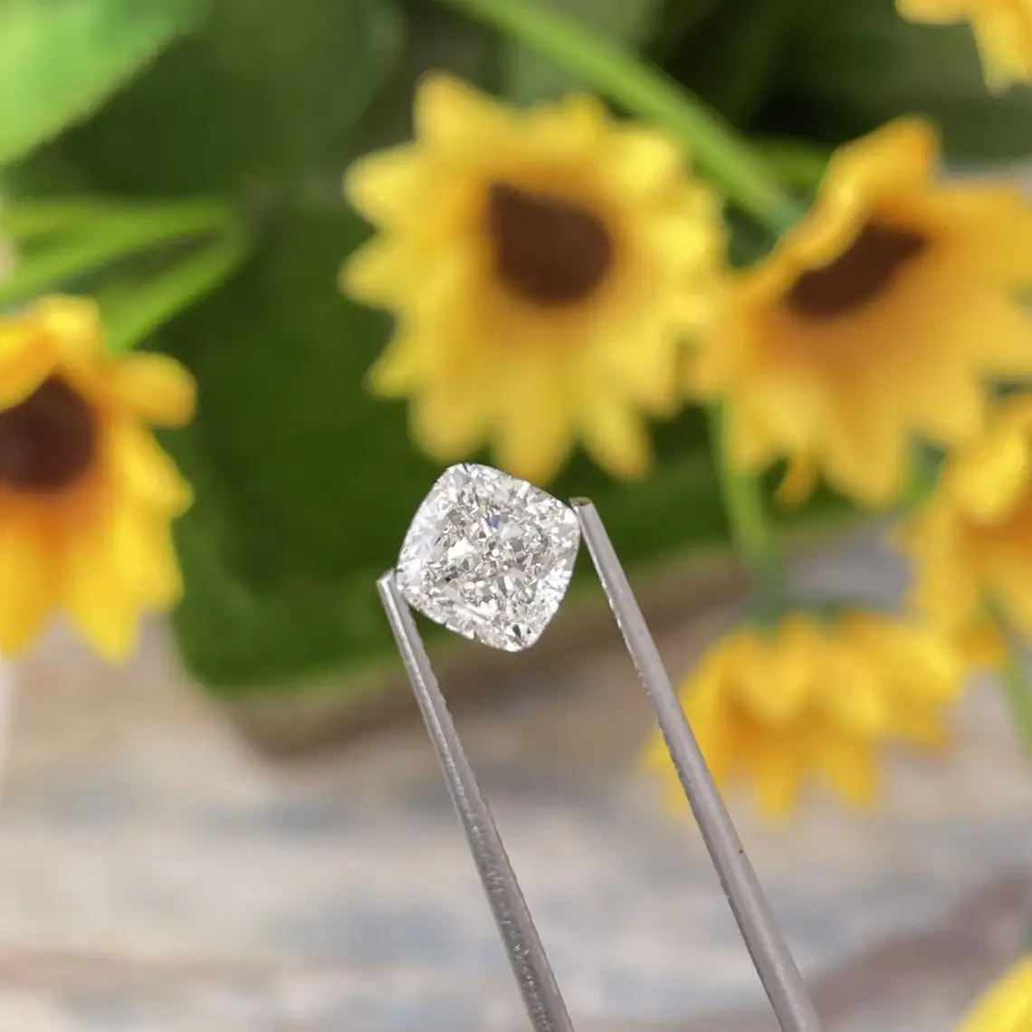 Provence Jewelry Lab Grown Diamond F Color Vs2 Clarity 1.7ct Hpht Cvd Loose Cushion Diamond 1
