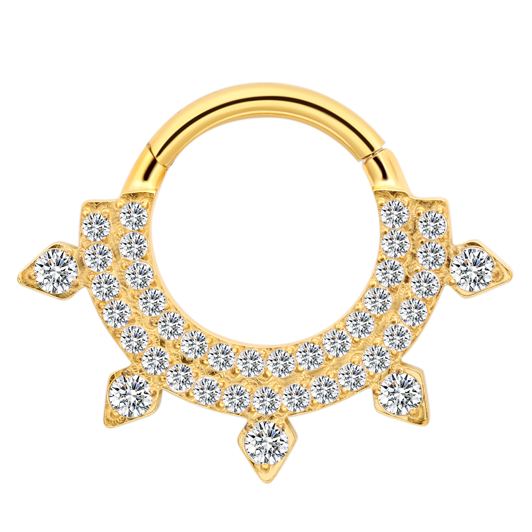Fashionable Astm F136 Titanium Body Jewelry Eternal Metal Claw Setting Cubic Zircon Nose <000000> Earring Piercing Clicker Men Women 4