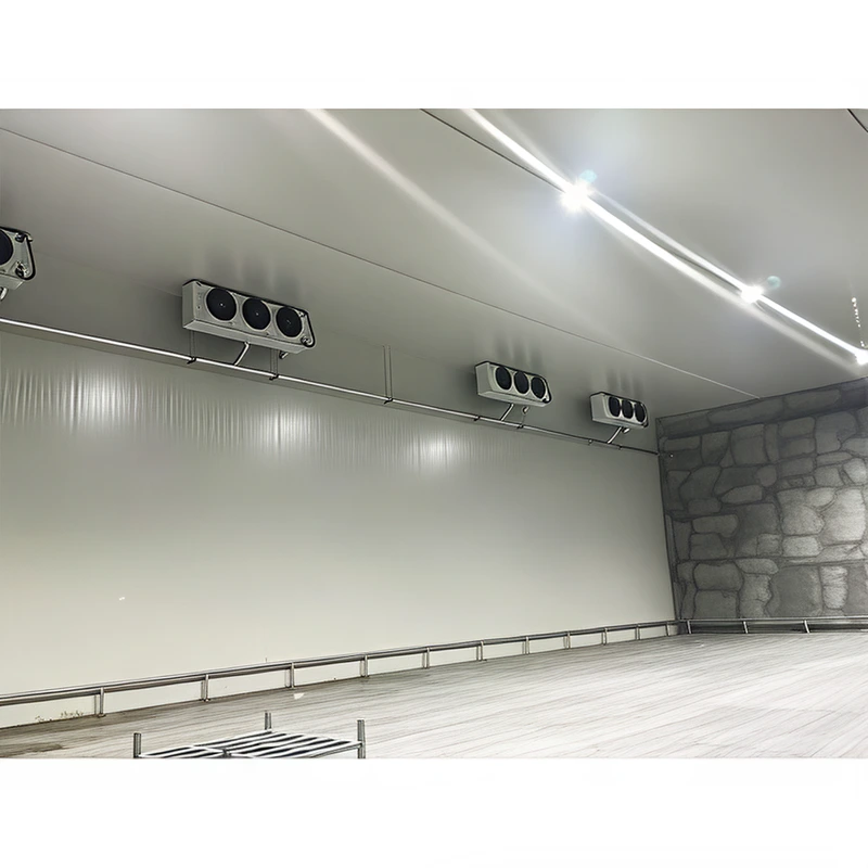 Introduction to R410 Refrigerant Cold Storage 1