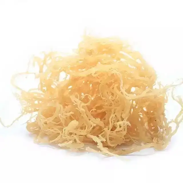 LowCost Org Irish Seaweed Gel Supp Bulk Product Introduction 1