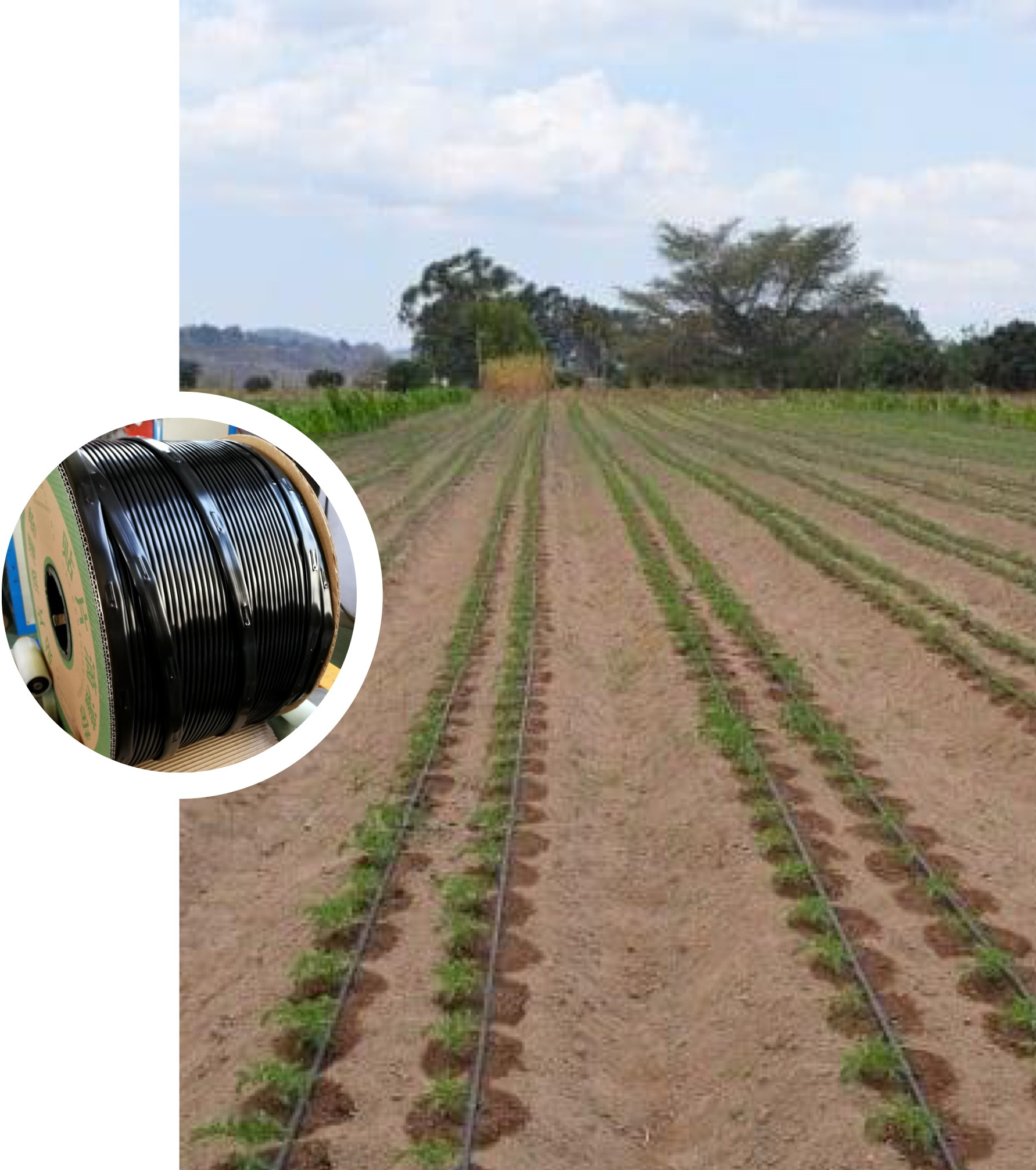 2022 HYRT Drip Tape Irrigation Pipe 16mm 20KG/roll 1