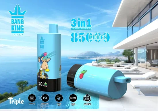 Bang King Vape EU Vaper 60000 85000 Puff 60K 100K E Cigarette Puff Tornado - E Puff and Puff 100K 1