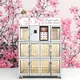 24 Hour Flower Vending Machines VENDING MACHINE Wholesale - Haloo 3