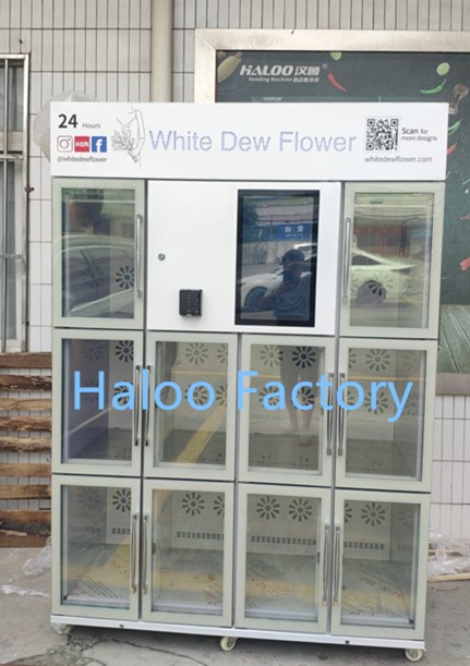 Haloo Vending Machine Supplier Vendo Distributeur Automatique De Fleurs Bouquet Vending Machine Flower Vending Machine 5