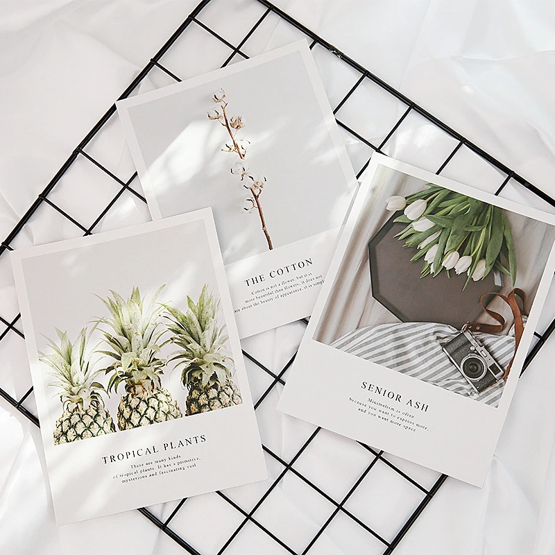 Custom Wholesale Literature and Art Landscape Postcard Printing with Envelope 1