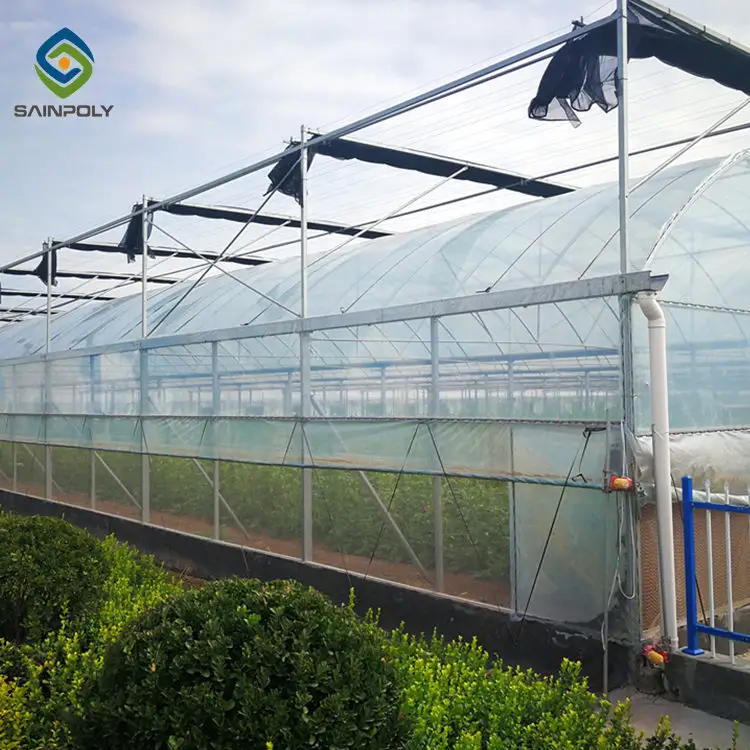 Agriculture Film Greenhouse Wholesale Film Greenhouse Wholesale - Sainpoly 6