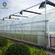 Agriculture Film Greenhouse Wholesale Film Greenhouse Wholesale - Sainpoly 6