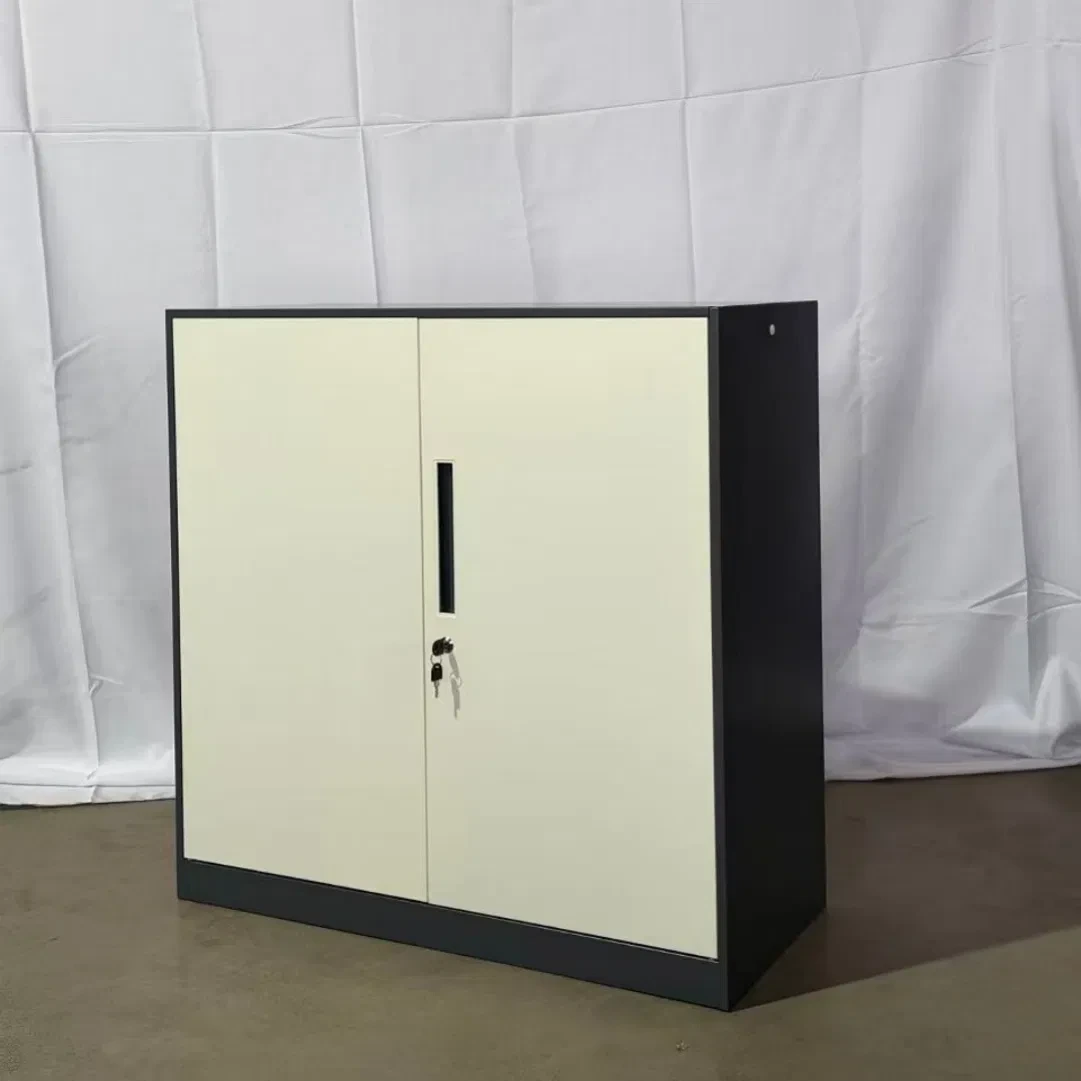 Laag opbergmeubilair voor op kantoor met slanke randen, in een kleur die past bij het bijbehorende meubilair met dubbele ijzeren deuren. 1