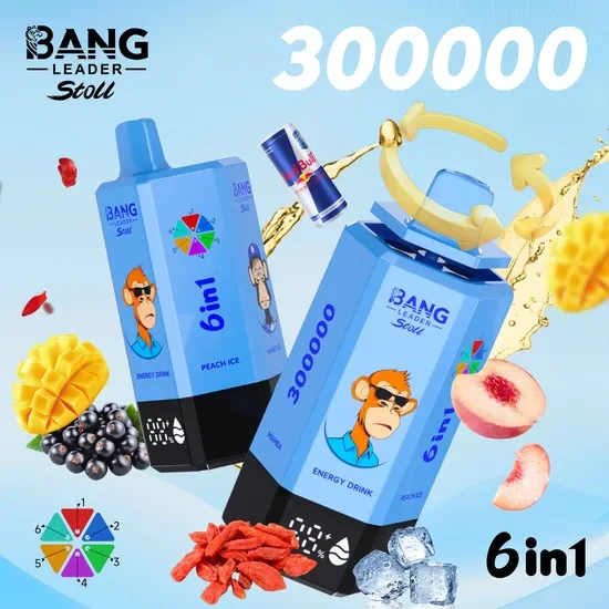 Bang Leader 300K 6 in 1 Disposable Vape Stoll 300000 Puff Vape 1