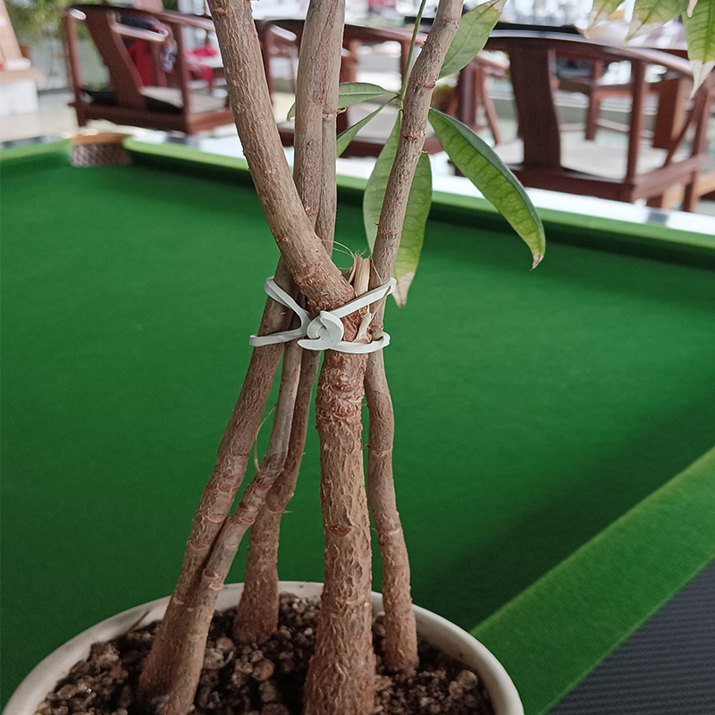 Soft Elastic Plant Ties for Gardening, Nursery & Vineyard – Bulk Wholesale 1