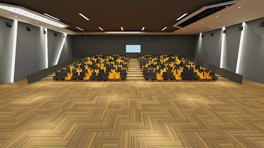 Moquette di lusso su misura in nylon e lana per home theatre, da parete a parete. 3