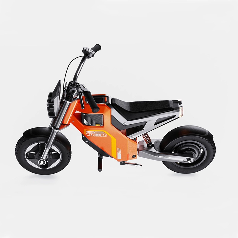 Factory Direct Children Electric Motorcycle 22.2v7ah Li-battery Charger Custom Logo 1
