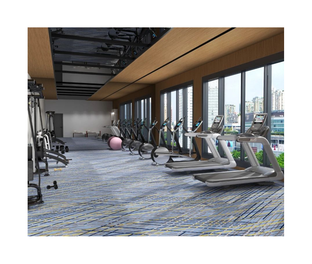 Customized Noise-Reducing Wool & Nylon Gym Carpet, Axminster 1