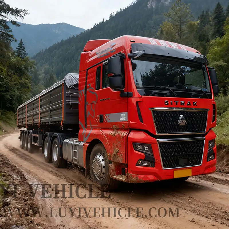 مقطورة قلابة فولاذية في أفريقيا | لويي 1