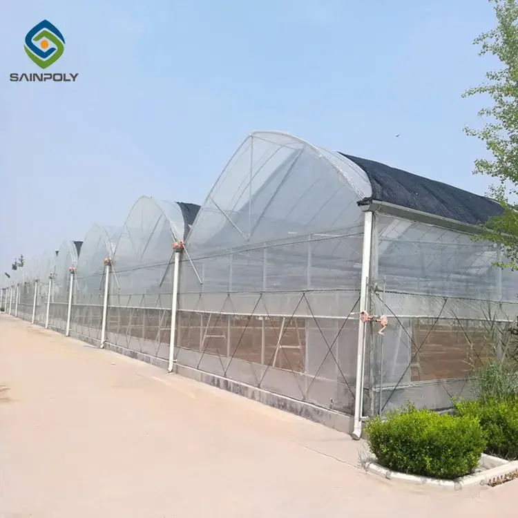 Agriculture Film Greenhouse Wholesale Film Greenhouse Wholesale - Sainpoly 3