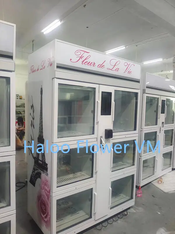 Vending Machine for Flowers VENDING MACHINE Wholesale - Haloo 6