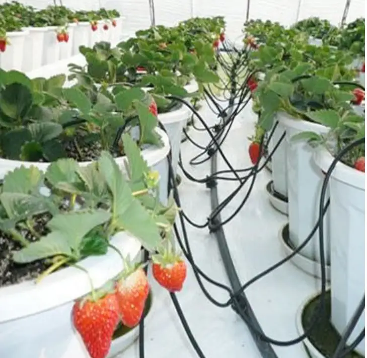 高品质塑料弯箭头滴灌器 1.5升/小时 蓝/白 1