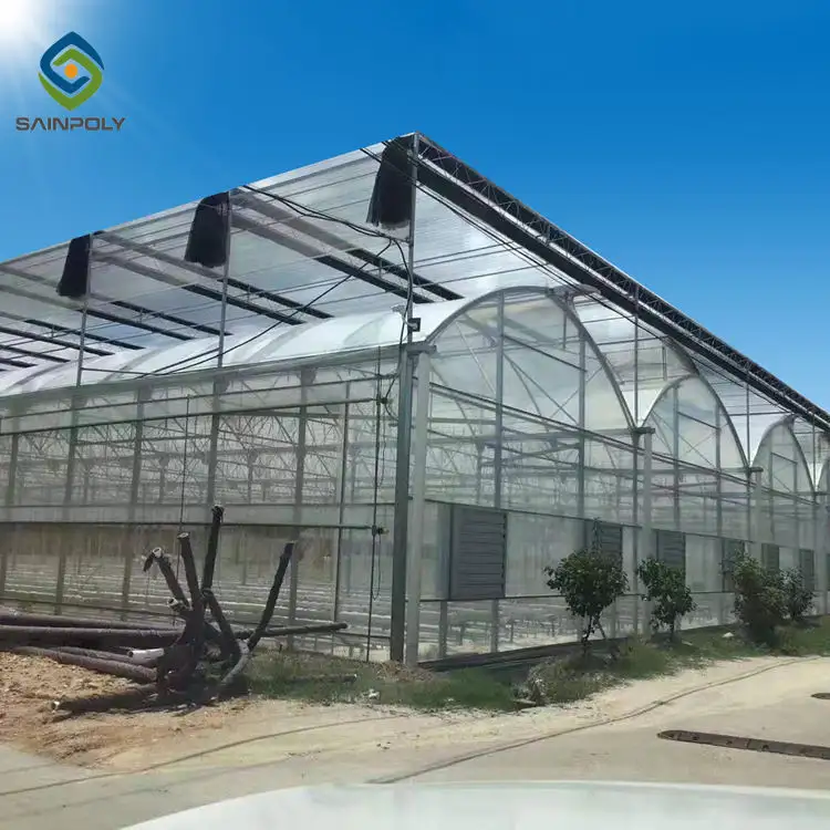 Agriculture Film Greenhouse Wholesale Film Greenhouse Wholesale - Sainpoly 2
