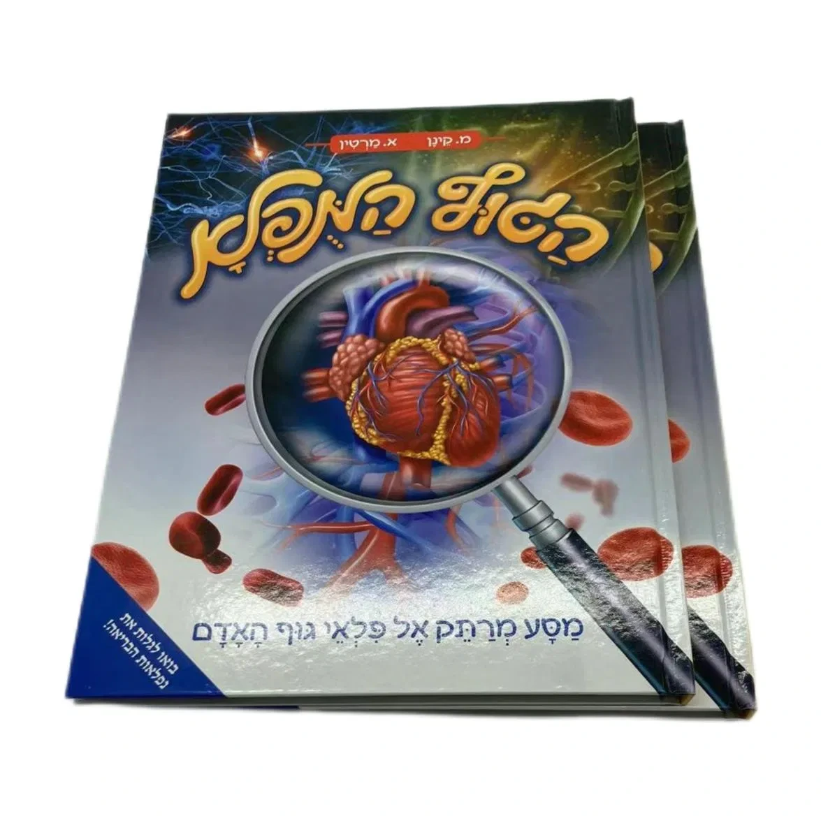 Custom Book Printing Services Kids Hardcover Book Children Educational Children Body Learning Book Printing Services 1