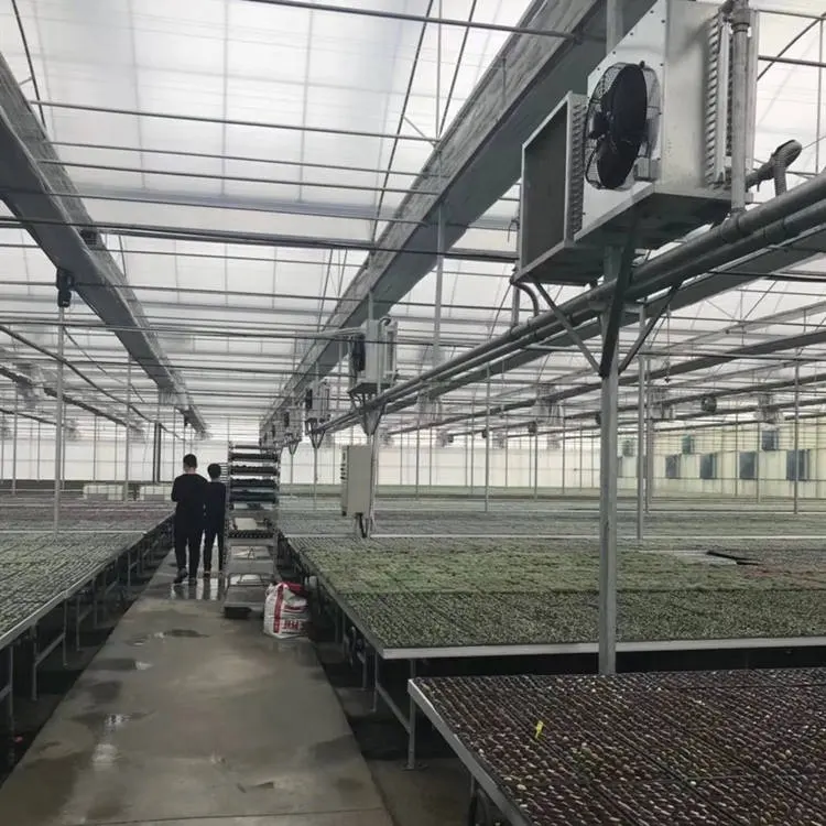 Cheap Plastic Film Greenhouse Commercial Greenhouse Multi Span Greenhouse Wholesale - Sainpoly 7