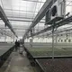 Cheap Plastic Film Greenhouse Commercial Greenhouse Multi Span Greenhouse Wholesale - Sainpoly 7
