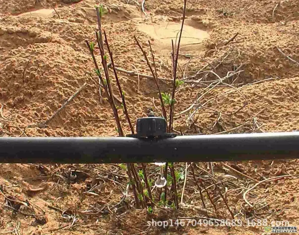 滴灌器 4升/8升 硅胶隔膜自清洁 1