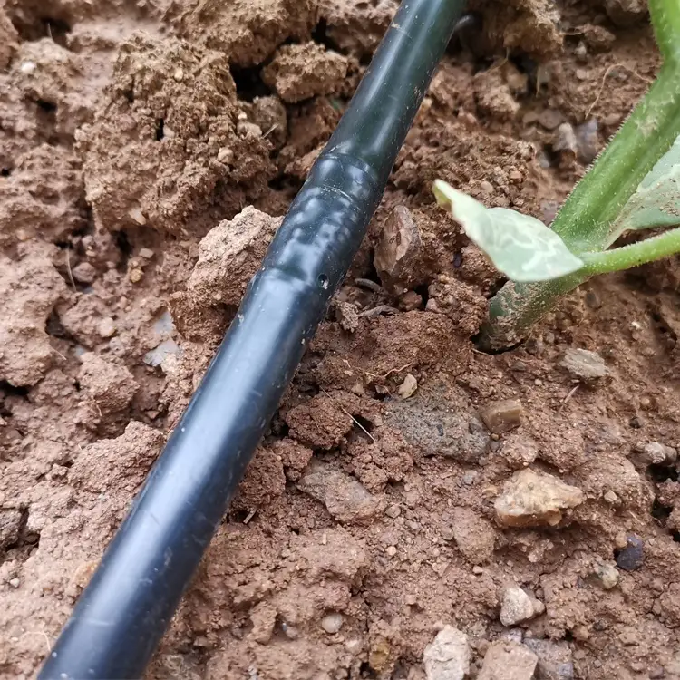 16mm PE Drip Pipe with Column Dripper, Compensating Emitter 1