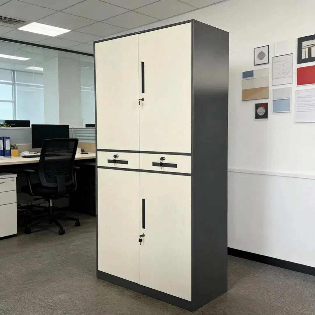 Stalen archiefkast voor op kantoor met twee laden, dubbele compartimenten, een doorlopende smalle rand en een smaakvolle kleurencombinatie. 1