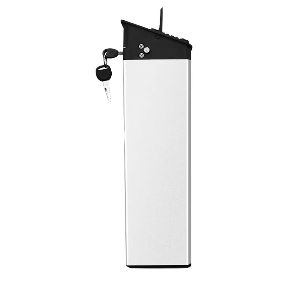 36V 48V DCH-009 Lithium-ion accu voor opvouwbare elektrische fietsen, geschikt voor Bezior X Plus Ebike, Vaya RX20, T42, T5 en Ancheer. 1
