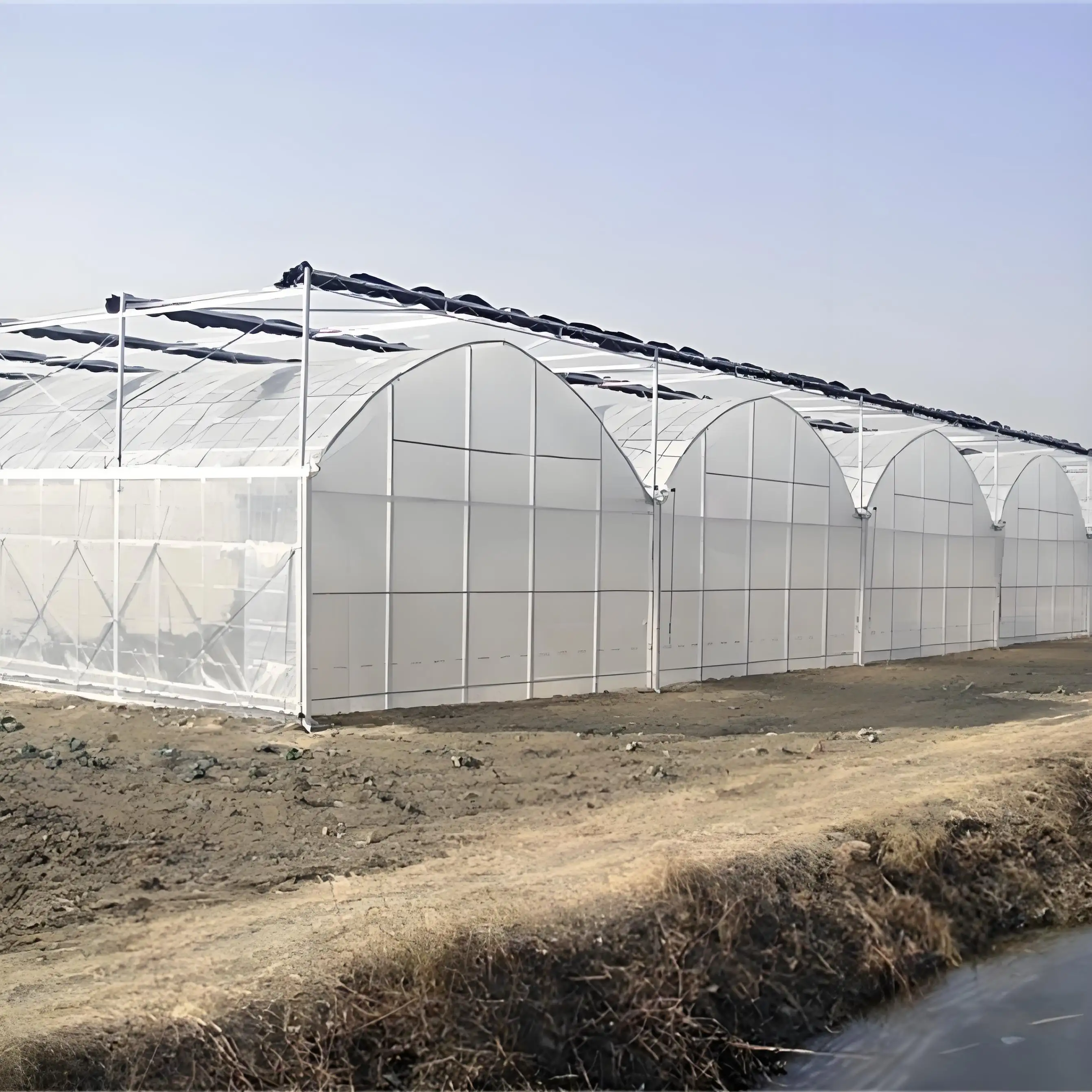 Agriculture Film Greenhouse Wholesale Film Greenhouse Wholesale - Sainpoly 7
